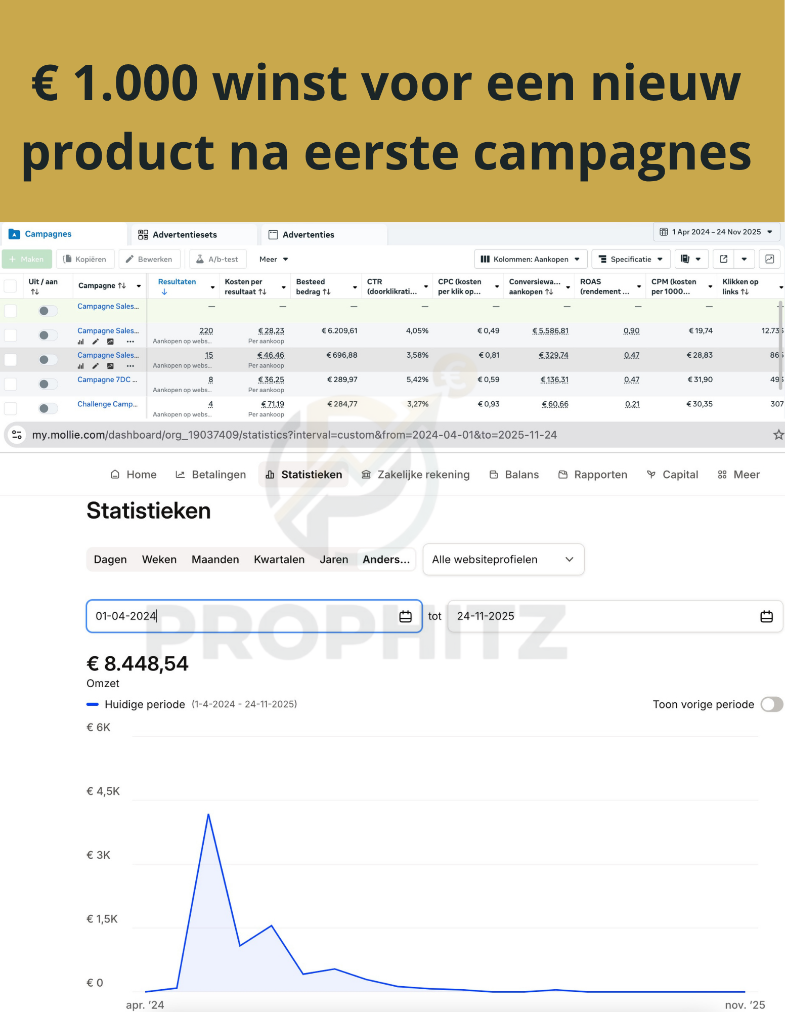ROAS 4 B2C e-commerce screenshot
